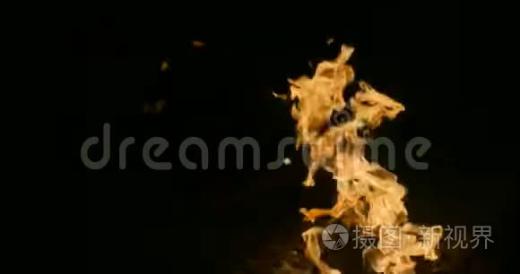 小男孩在火上烤棉花糖视频