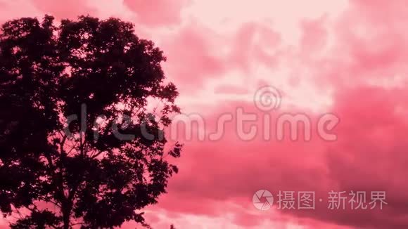 一棵大树的剪影，风吹过粉红色的天空背景。