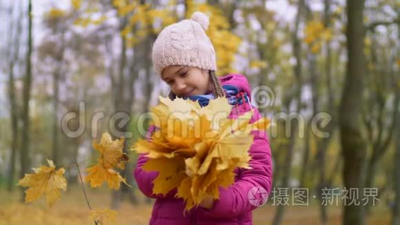 抱着秋叶花束的孩童画像视频