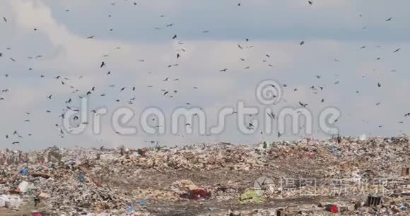 在非回收第三世界国家的巨大垃圾场上的人和鸟。