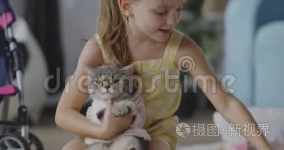 女孩给猫穿上衣服视频