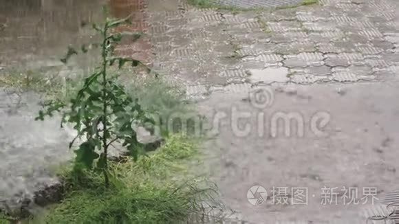 大雨从绿色工厂的排水管道上倾泻而下，在一场雨来临之前，这条生锈的管道关闭了