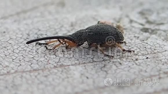 虫洞入口视频大全