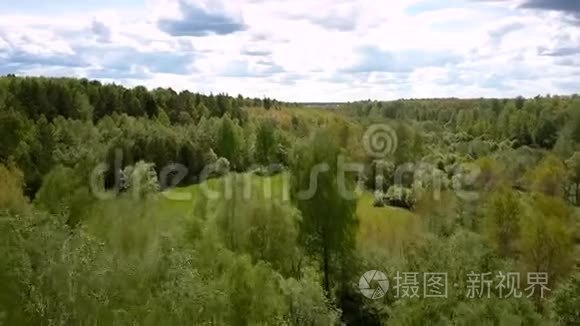 蓝天下小草甸周围的绿色森林区视频