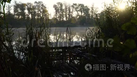 河岸上的日出。 带木鱼码头芦苇和水上烟雾的景观