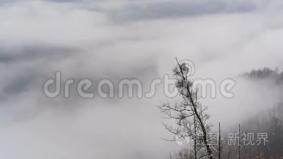 山坡上的雾视频
