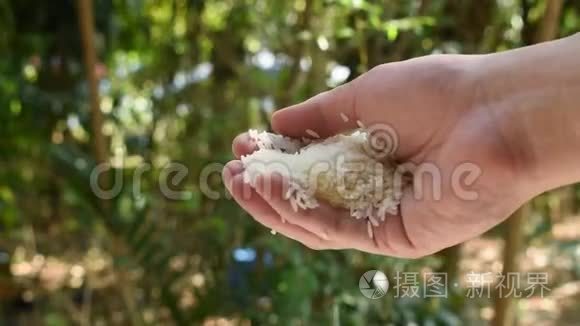 从花园里手里掉下来的水稻视频