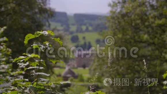 郁郁葱葱的青山和建筑物的景色视频