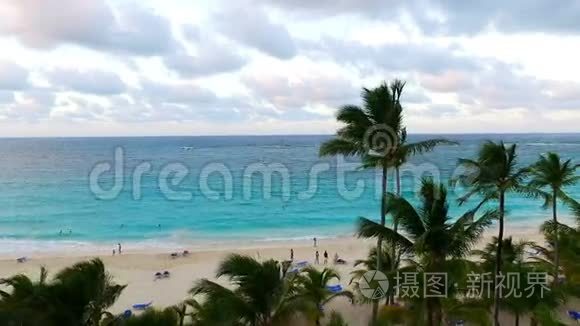 镜头拍摄海滩和棕榈树视频