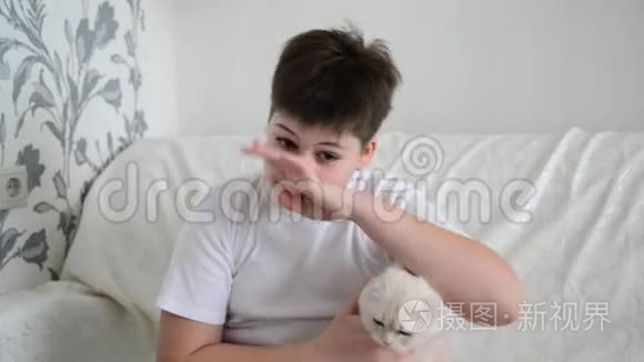 对猫挠鼻子过敏的青少年视频