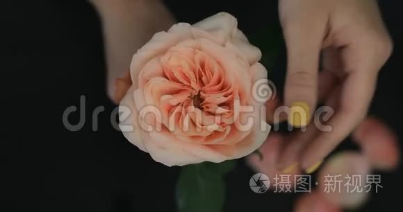 女性的手撕下花瓣视频
