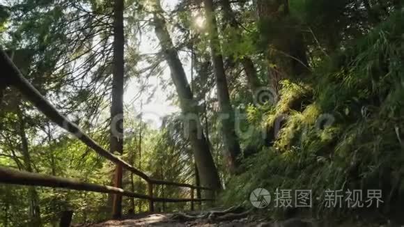 森林里有木栅栏的山路