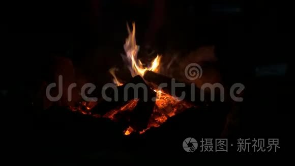 篝火火焰在夜晚视频