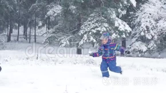 一个快乐的孩子跑向他的母亲，向她扔雪球。 在美丽的冬天森林或公园里快乐的一家人