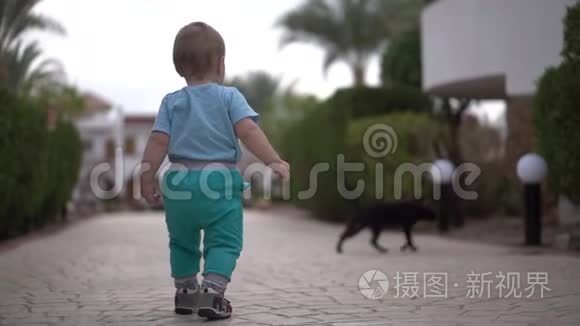 小宝宝慢动作走路，到黑猫和猫从宝宝身边跑..