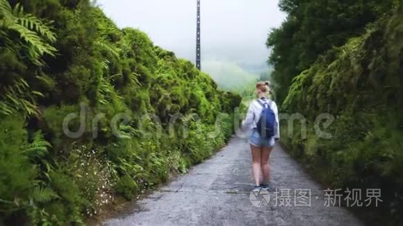 女孩在浓雾中沿着森林中一条风景如画的路走着