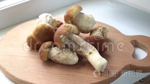 蘑菇，清理桌子上的杂物