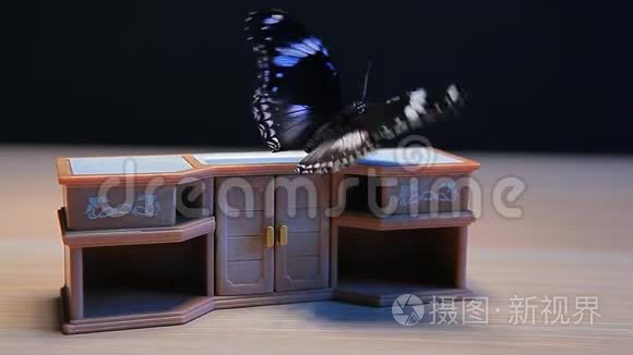 玩具塑料厨房蝴蝶桌深色背景高清镜头