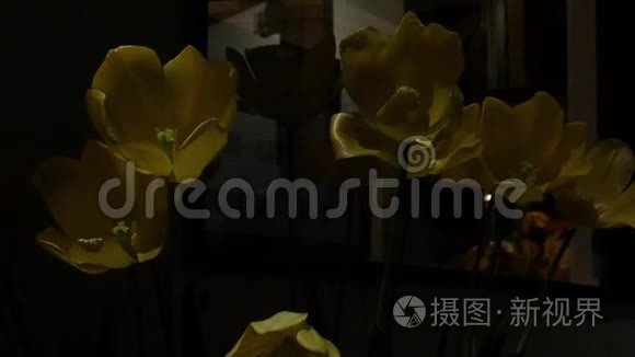 花圃在深夜人工点亮视频