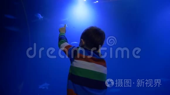 小男孩学习水下世界，观看在蓝色大水族馆游泳的鱼