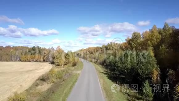 鸟瞰天空中森林中的道路和汽车视频