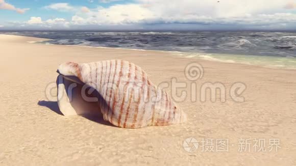 沙滩上美丽的贝壳，被海浪冲刷。美丽的三维循环动画。