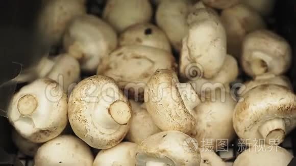 市场柜台上的蘑菇香瓜特写视频