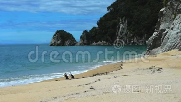 在海滩上的一对破烂的镜头视频