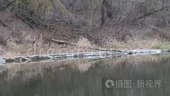 秋高气爽的早晨，湖面上第一块冰..