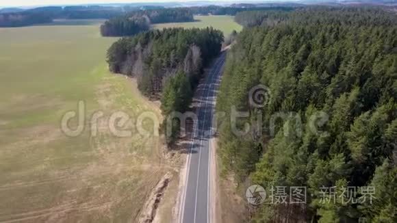 在农田和松林之间飞过风景如画的道路