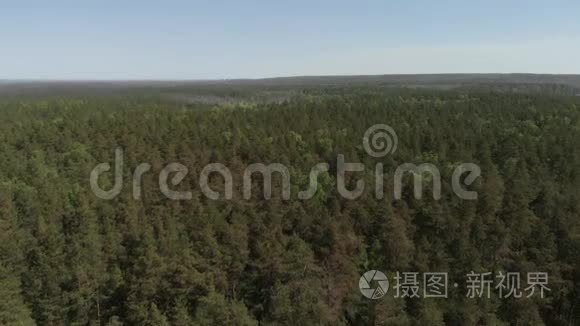 鸟瞰美丽`绿林航拍.. 空中观景4K.. 照相机飞过森林. 这就是
