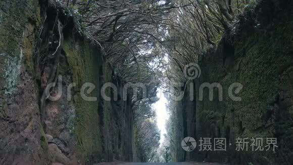 年轻乐观的一对夫妇在TenerifeAnaga自然公园的一条被树木覆盖的道路上在岩石之间奔跑。 强风