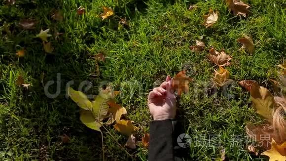 红头发的女孩躺在草地上，抱着秋天落叶的公园
