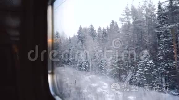 从火车窗口查看。 冬天的森林在雪地里。 北方寒冷的景色。 冻松树特写.. 美丽美丽