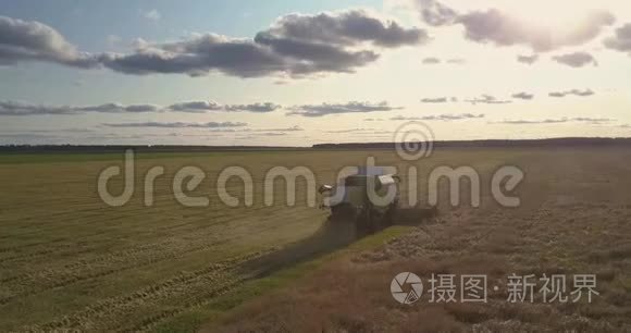 鸟瞰结合集熟麦收于田间视频