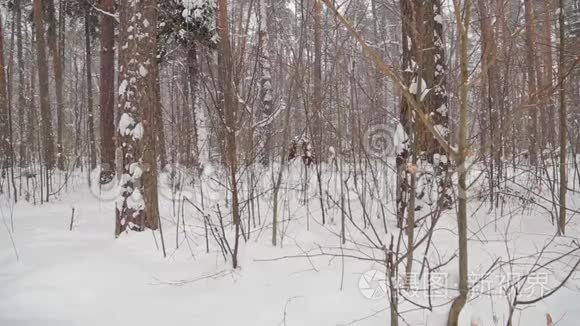 黄昏前冬天公园下雪视频