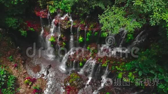 热带森林中惊人的瀑布。 印度尼西亚巴厘。 空中景观