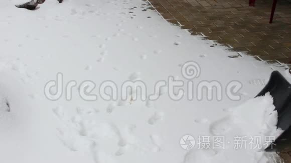 那个人耙雪视频