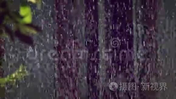 草坪洒水使水帘倾斜视频