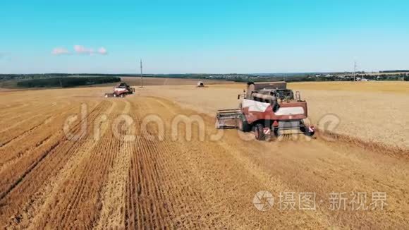 小麦被农业运输收割视频