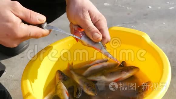 在挞鱼子酱视频素材