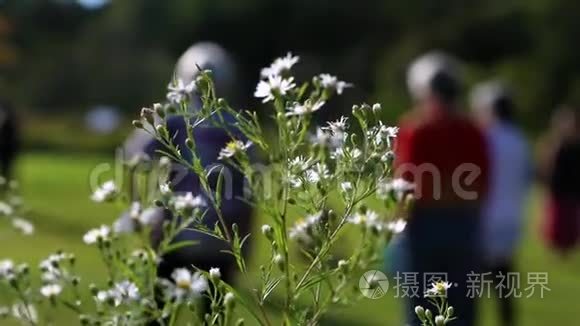 春天的花揭示了女人锻炼的过程视频