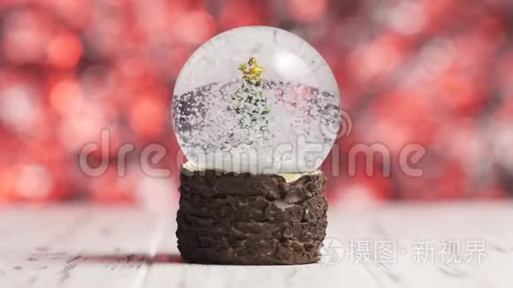 在一个玻璃球内的圣诞树上，雪花飞舞