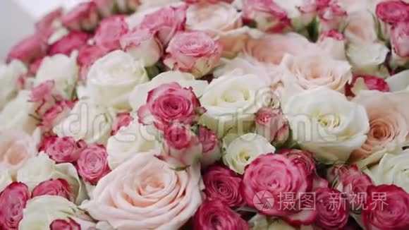 一大束白色和粉红色的玫瑰视频