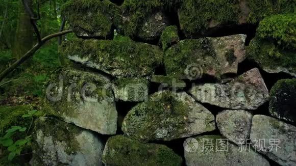 穿越中世纪的森林石墙视频
