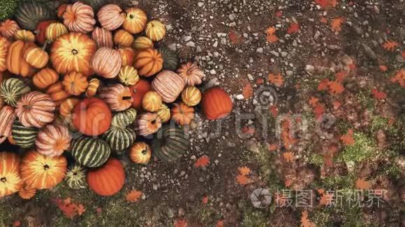 秋天的南瓜堆在地面上的特写镜头