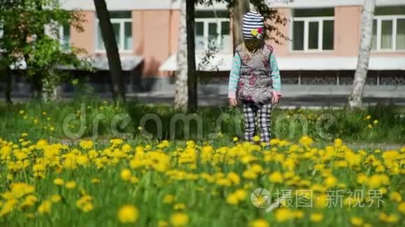 春天蒲公英田野上的小女孩视频