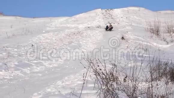 女孩正在雪中用雪橇高速下山。 冬天在公园里玩的快乐女孩。