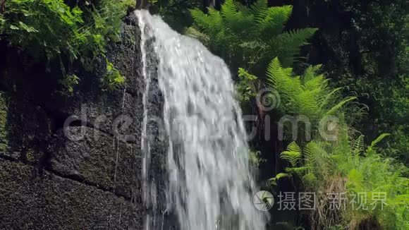 瀑布流过石砖墙，蕨类植物在周围生长