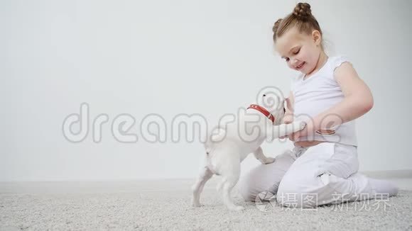 小女孩和狗在家里的垫子上玩白色的内部